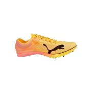 Hardloopschoenen Puma Evospeed Distance Nitro Elite Spikes