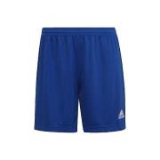 Korte Broek adidas Entrada 22