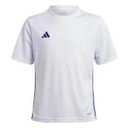 Zwembroek adidas Tabela 23