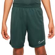 Korte Broek Nike Academy