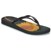 Teenslippers Ipanema IPANEMA ANAT. TEMAS XII FEM