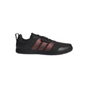 Lage Sneakers adidas JP6194