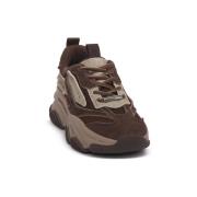 Sneakers Steve Madden GND POSSESSION COFFEE