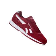 Lage Sneakers Reebok Sport Royal Glide Rpl