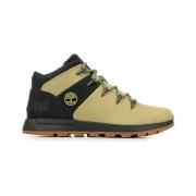 Lage Sneakers Timberland TB0A6AHZEN7
