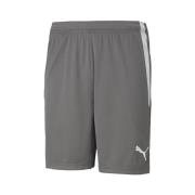 Korte Broek Puma Teamliga