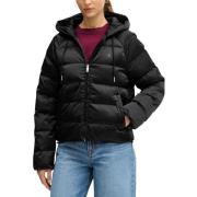 Donsjas Calvin Klein Jeans LV047E509G