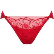 Strings Lisca String MIRACLE