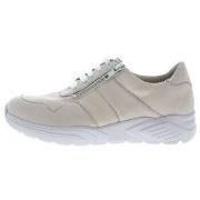 Lage Sneakers Solidus Kea