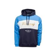 Sweater Tommy Hilfiger DM0DM14200C87