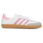 Lage Sneakers adidas Samba OG J