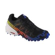 Hardloopschoenen Salomon Speedcross 6 Gtx