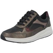 Sneakers Solidus Kitty