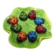 Beeldjes Signes Grimalt Schildpadden 8U