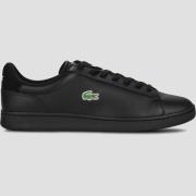 Lage Sneakers Lacoste CARNABY