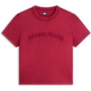 T-shirt Korte Mouw Tommy Jeans Tjw Reg Gmd Varsity