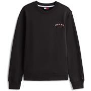 Trui Tommy Jeans Tjw Reg Dollar Stack