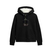 Sweater Superdry Sweat à capuche Luxe Metallic Logo