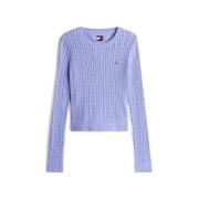 Trui Tommy Hilfiger -