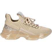 Lage Sneakers Steve Madden Sneaker