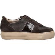 Lage Sneakers Paul Green Sneaker