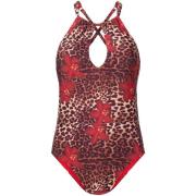 Badpak Lingadore Badpak