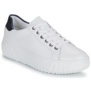 Lage Sneakers Ara MONACO