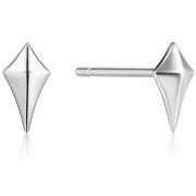 Oorbellen Ania Haie e02323h