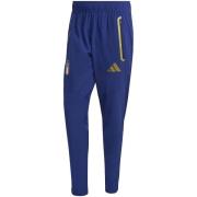Trainingsbroek adidas Figc Tt Pnt