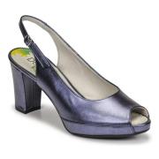 Pumps Dorking MODALIA