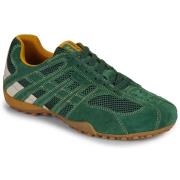 Lage Sneakers Geox U SNAKE ORIGINAL