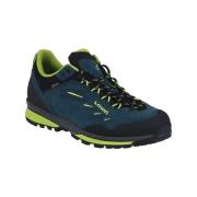 Wandelschoenen Lowa Delago Low Gtx