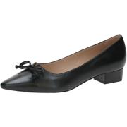 Ballerina's Peter Kaiser Pumps