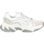 Lage Sneakers Steve Madden Sneaker