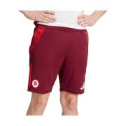 Korte Broek adidas -