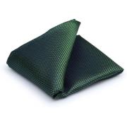 Schoenaccessoires Suitable Seide Einstecktuch Grün