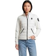 Donsjas Blauer HASKEL 26SBLDC02206