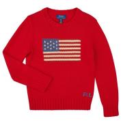 Trui Polo Ralph Lauren FLAG CN SWTR-TOPS-SWEATER