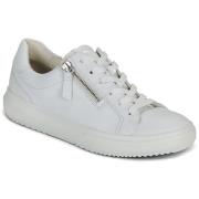 Lage Sneakers Gabor CELESTE