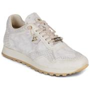 Lage Sneakers Cetti C-848-SRA-V26-SNAKE-MARFIL