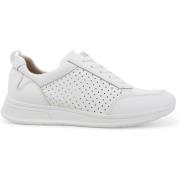 Lage Sneakers Melluso K60108BK-244209