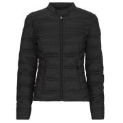 Donsjas Guess NEW VONA LOGO