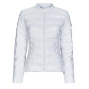 Donsjas Guess NEW VONA LOGO