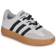 Lage Sneakers adidas BARREDA