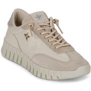 Lage Sneakers Cetti C-1381-SRA-V26-ANTE-GORDON-DESSERT