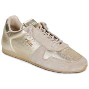 Lage Sneakers Cetti C-1379-SRA-V26-ANTE-GORDON-CHAMPAGNE