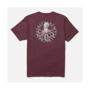 T-shirt Korte Mouw Salty Crew Tentacles premium s/s tee
