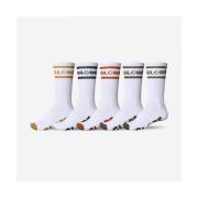 Sokken Globe Tilt hi crew sock 5 pack