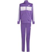 Trainingspak adidas J 3S Tiberio Ts