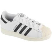 Lage Sneakers adidas adidas Superstar II W